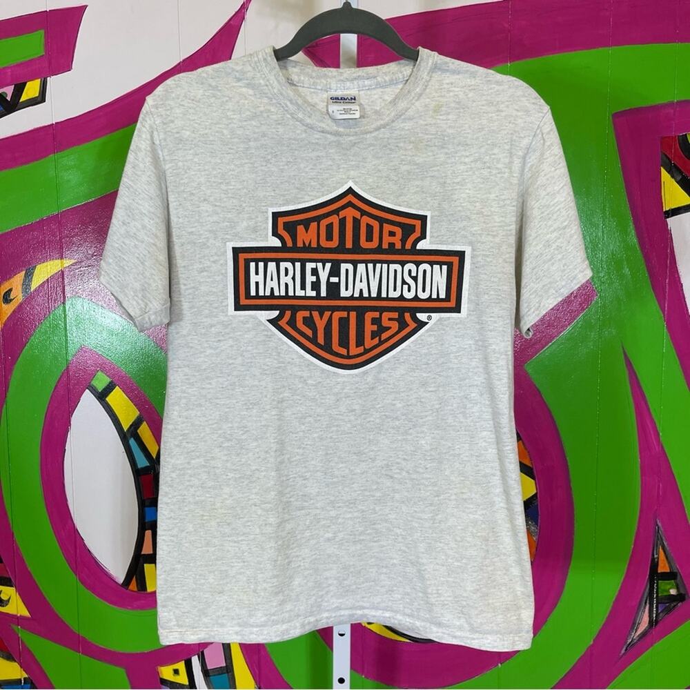 Harley-Davidson Grey T-Shirt, Size Small. Good used condition!